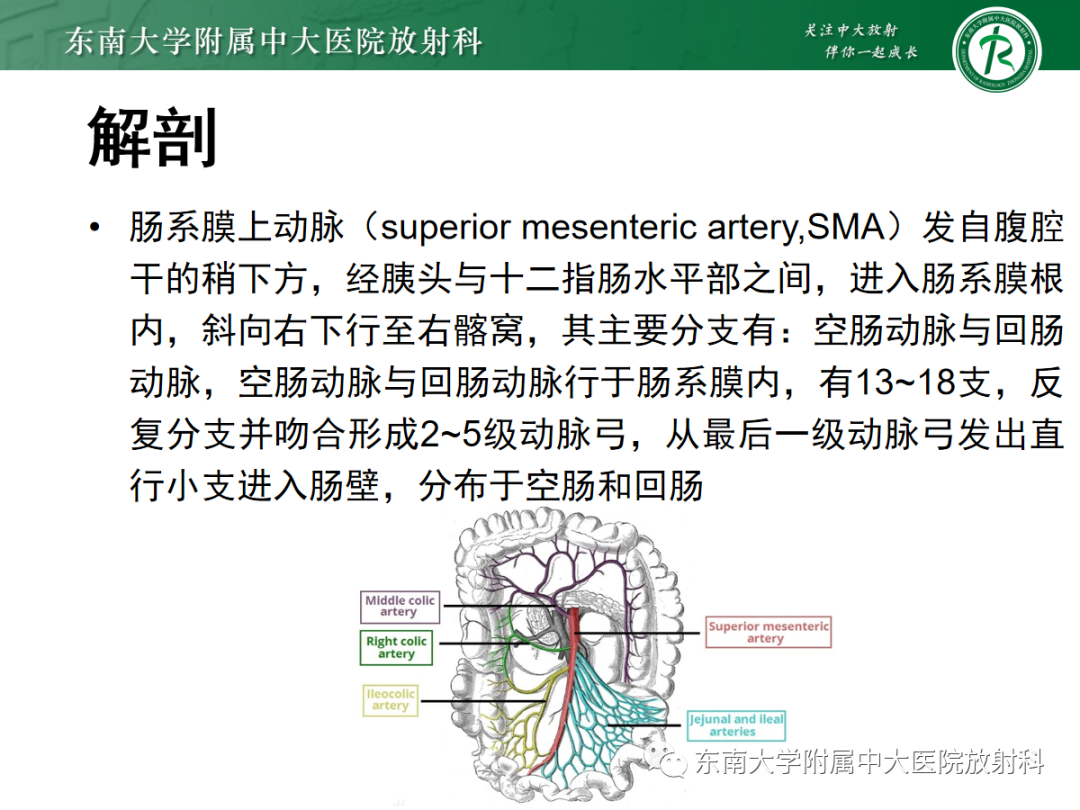 影像PPT - 【PPT】肠系膜上动脉夹层-5