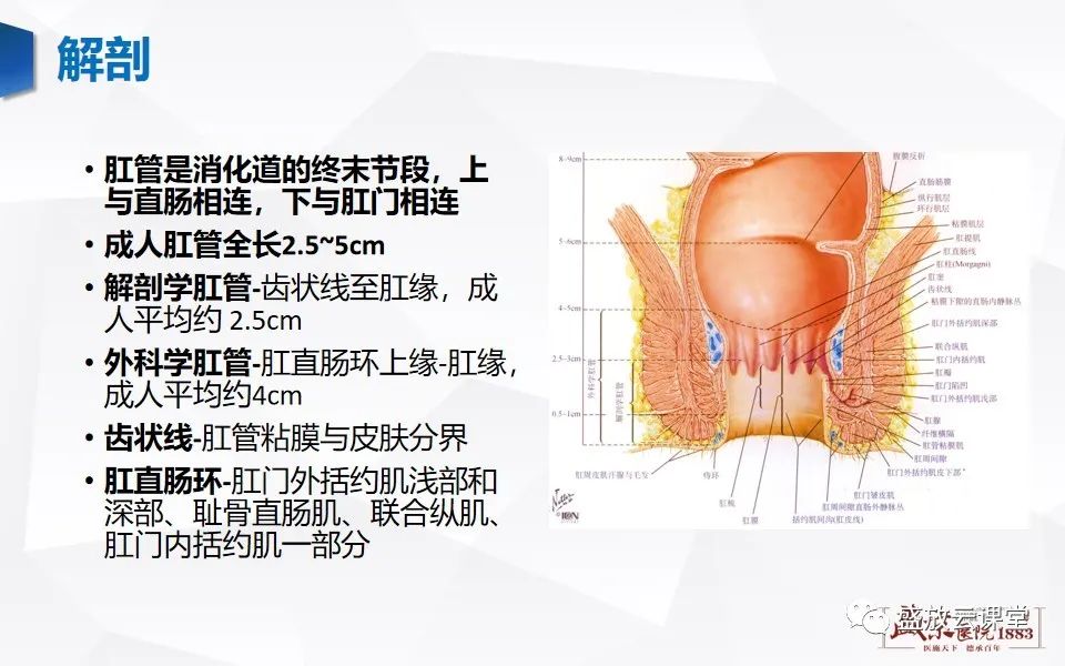 影像PPT - 【PPT】肛瘘的MRI诊断-5