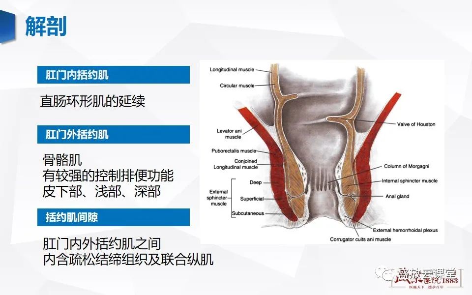 影像PPT - 【PPT】肛瘘的MRI诊断-6