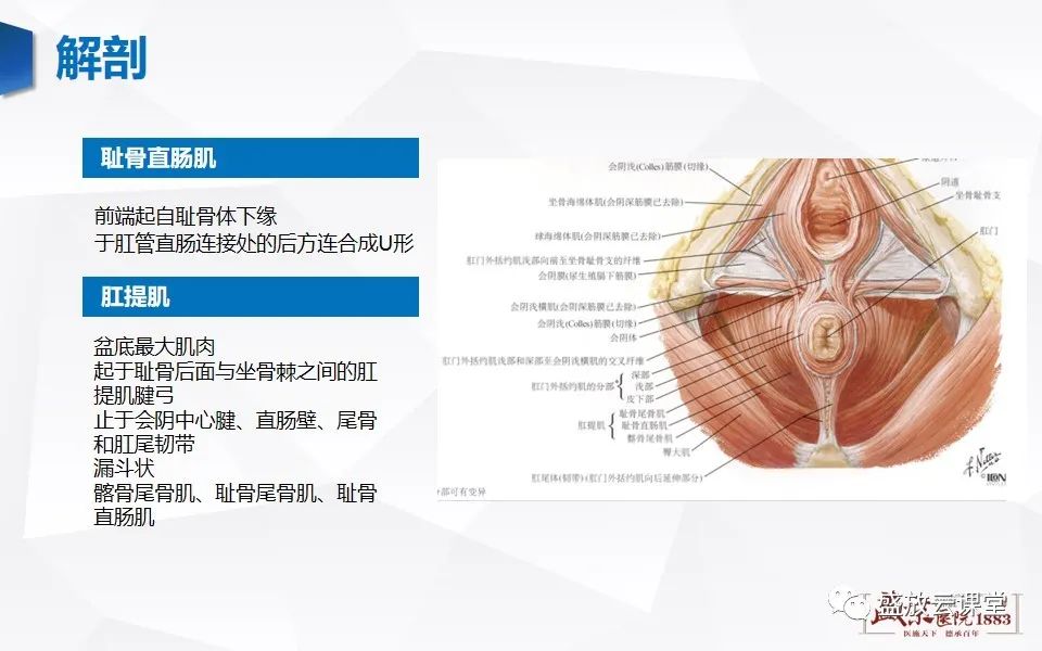 影像PPT - 【PPT】肛瘘的MRI诊断-7