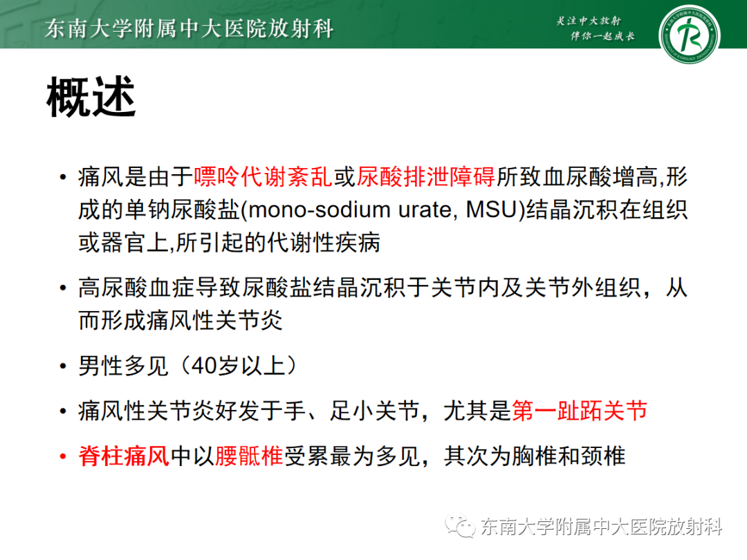 影像PPT - 【PPT】痛风性关节炎——脊柱痛风-4 影像PPT - 【PPT】痛风性关节炎——脊柱痛风-4