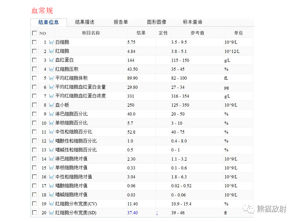 影像PPT - 【病例】肺隐球菌病2例CT影像-4
