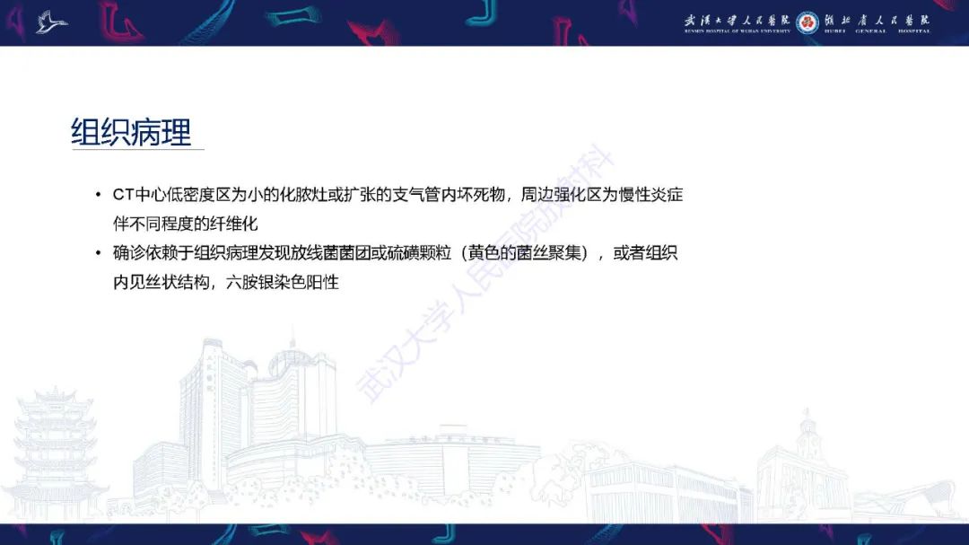 影像PPT - 【PPT】胸部放线菌病CT诊断-13