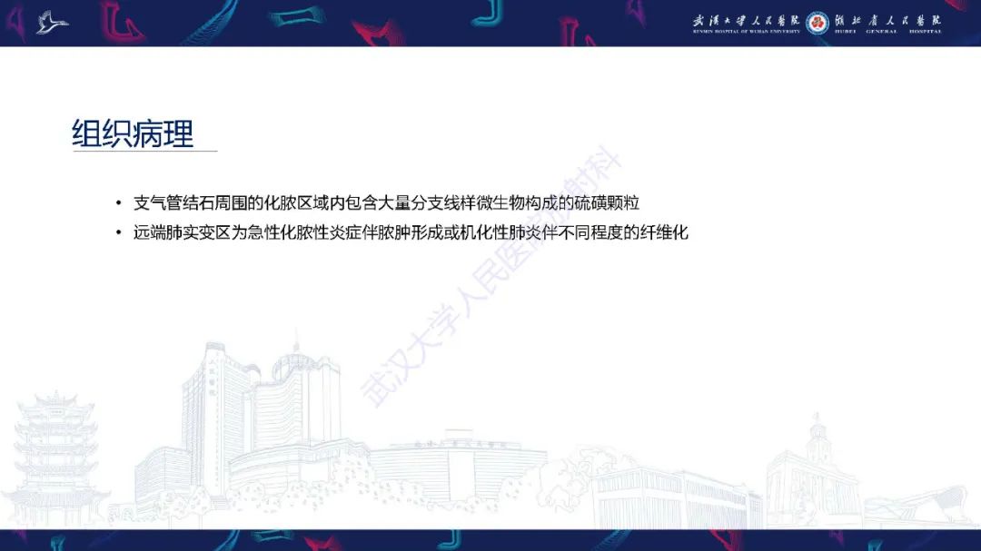 影像PPT - 【PPT】胸部放线菌病CT诊断-19