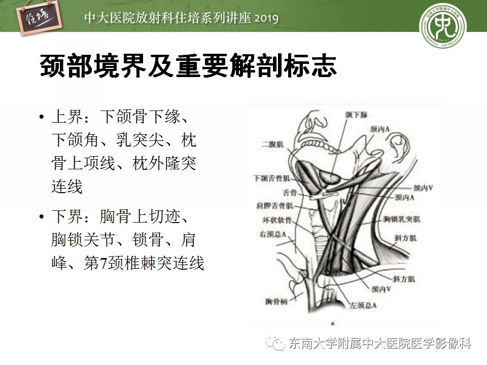 影像PPT - 【PPT】颈部淋巴结的影像解剖及常见病变的影像表现-2