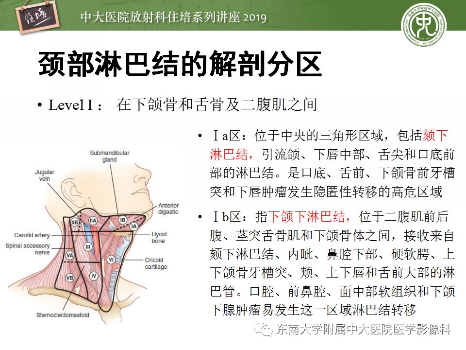 影像PPT - 【PPT】颈部淋巴结的影像解剖及常见病变的影像表现-7