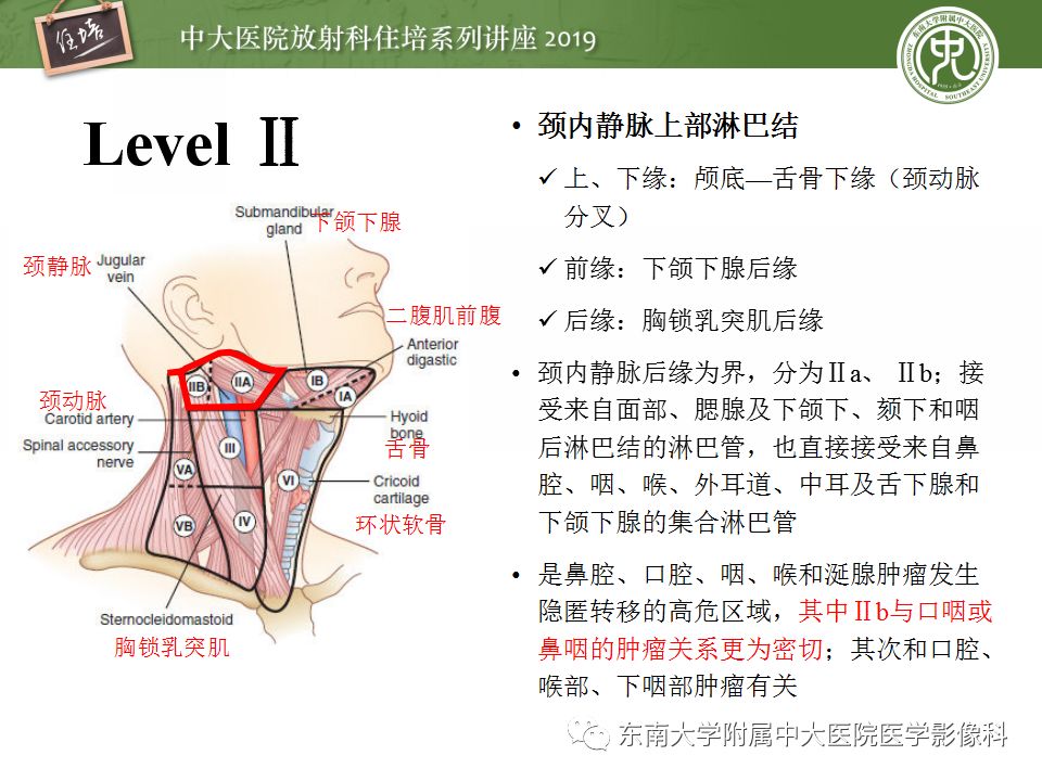 影像PPT - 【PPT】颈部淋巴结的影像解剖及常见病变的影像表现-10