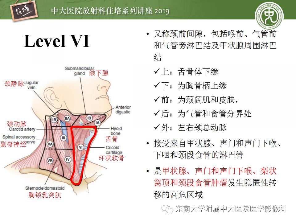 影像PPT - 【PPT】颈部淋巴结的影像解剖及常见病变的影像表现-17
