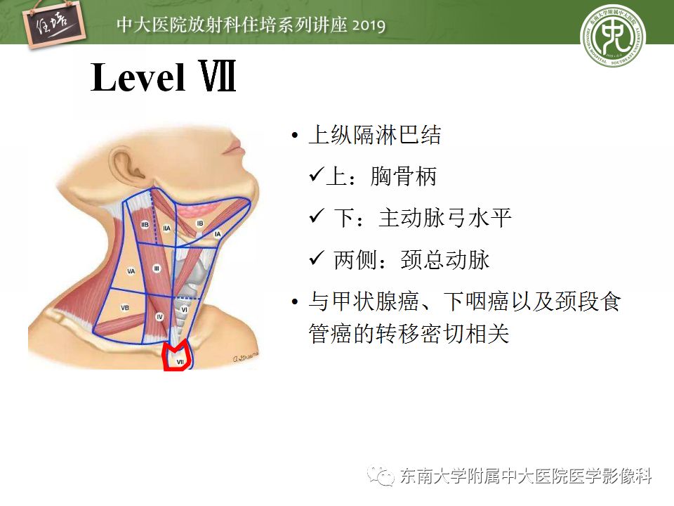 影像PPT - 【PPT】颈部淋巴结的影像解剖及常见病变的影像表现-19