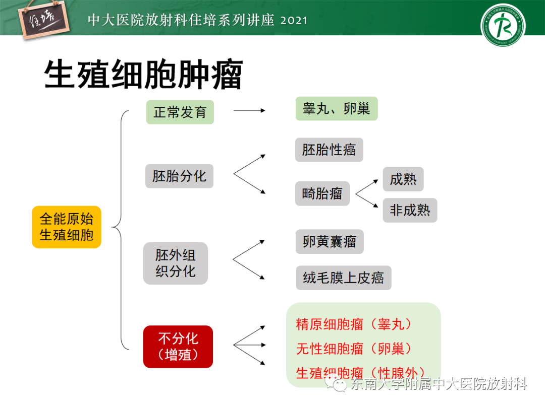 影像PPT - 【PPT】颅内生殖细胞瘤影像学表现及鉴别-3