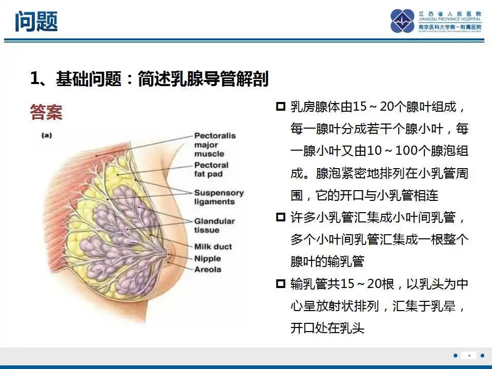 影像PPT - 【PPT】乳腺包裹性乳头状癌-10