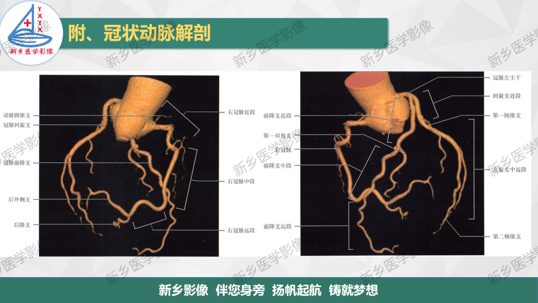 影像PPT - 【PPT】医学影像诊断学教材解读-3