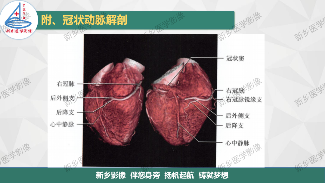 影像PPT - 【PPT】医学影像诊断学教材解读-5