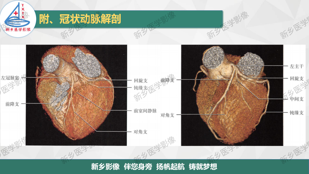影像PPT - 【PPT】医学影像诊断学教材解读-7