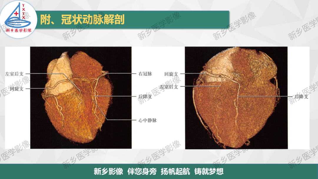 影像PPT - 【PPT】医学影像诊断学教材解读-8