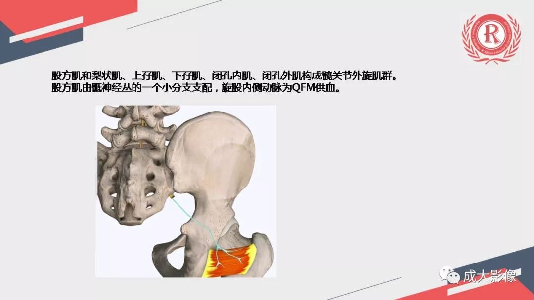 影像PPT - 【PPT】坐骨股骨撞击综合征MR影像诊断-12 影像PPT - 【PPT】坐骨股骨撞击综合征MR影像诊断-12