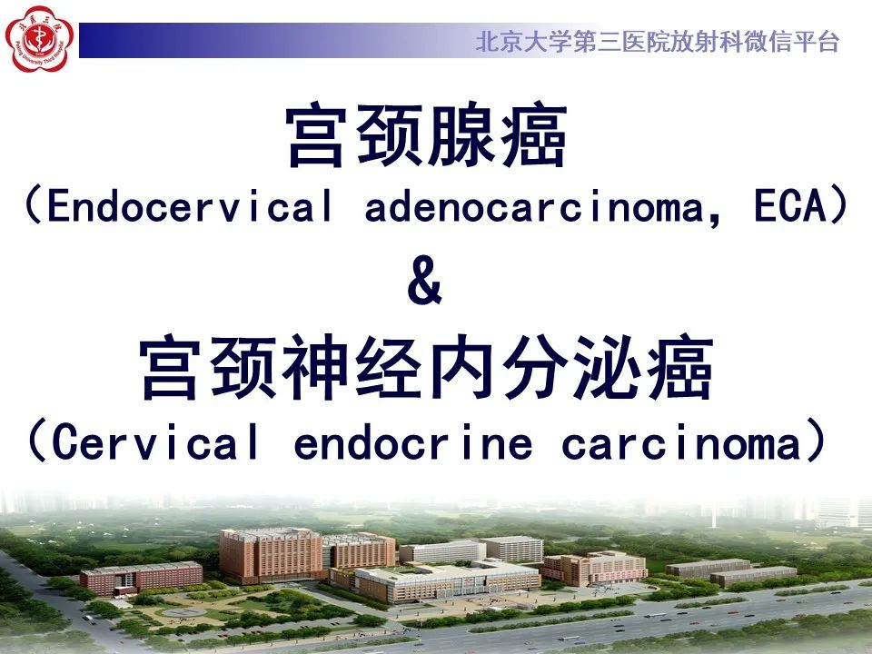 影像PPT - 【PPT】宫颈腺癌 & 神经内分泌癌-11