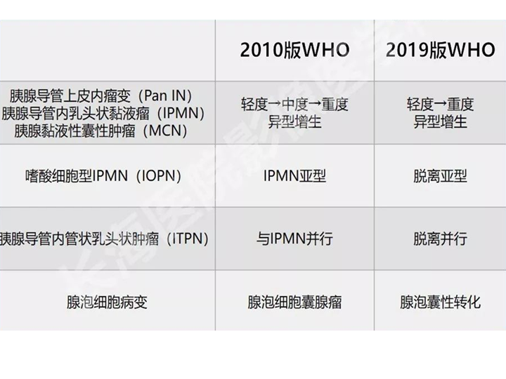 影像PPT - 【病例】胰腺导管内乳头状粘液瘤 VS 慢性胰腺炎-33