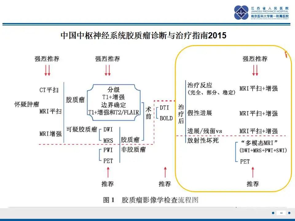 影像PPT - 【PPT】胶质瘤治疗后假性进展-41