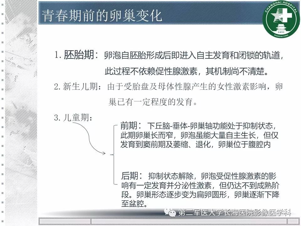 影像PPT - 【PPT】卵巢及其囊性病变-8