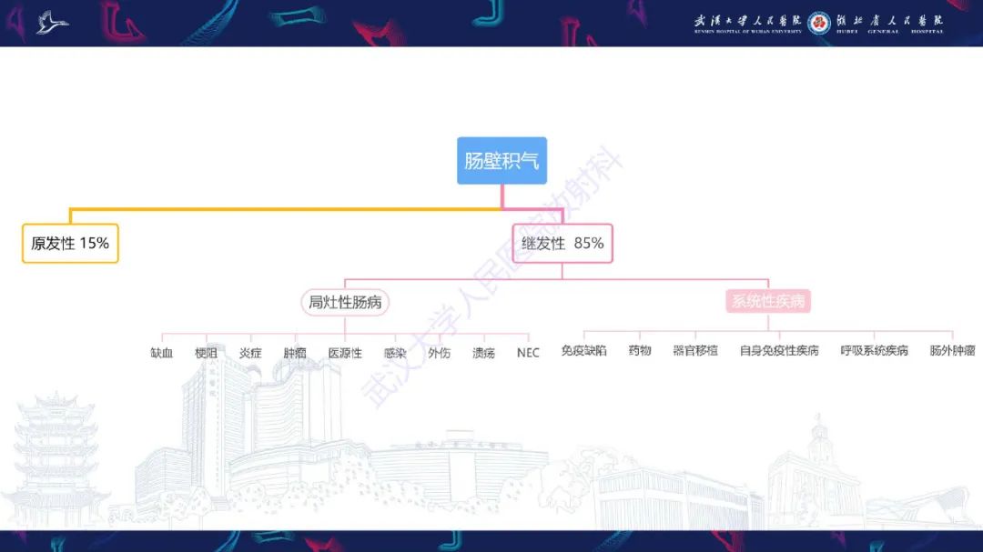 影像PPT - 【PPT】肠壁积气相关疾病影像诊断-8