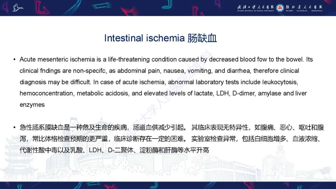 影像PPT - 【PPT】肠壁积气相关疾病影像诊断-16