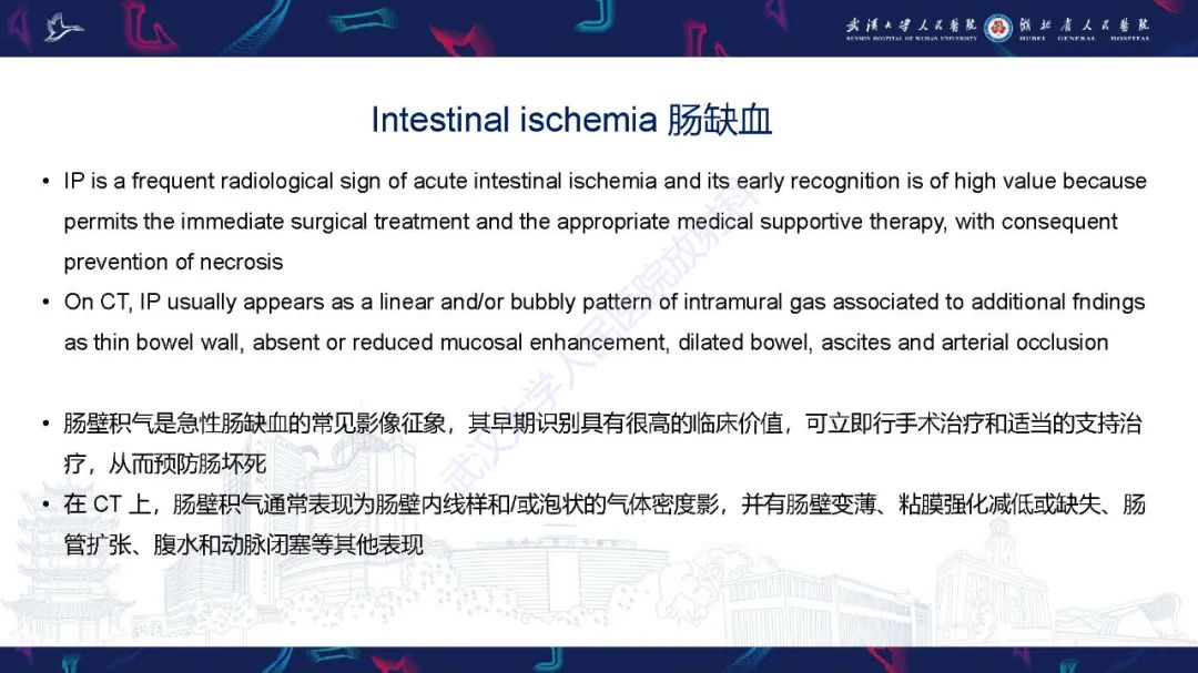 影像PPT - 【PPT】肠壁积气相关疾病影像诊断-17
