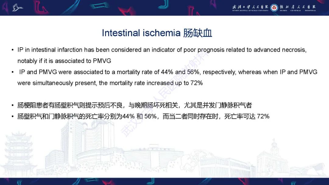 影像PPT - 【PPT】肠壁积气相关疾病影像诊断-18