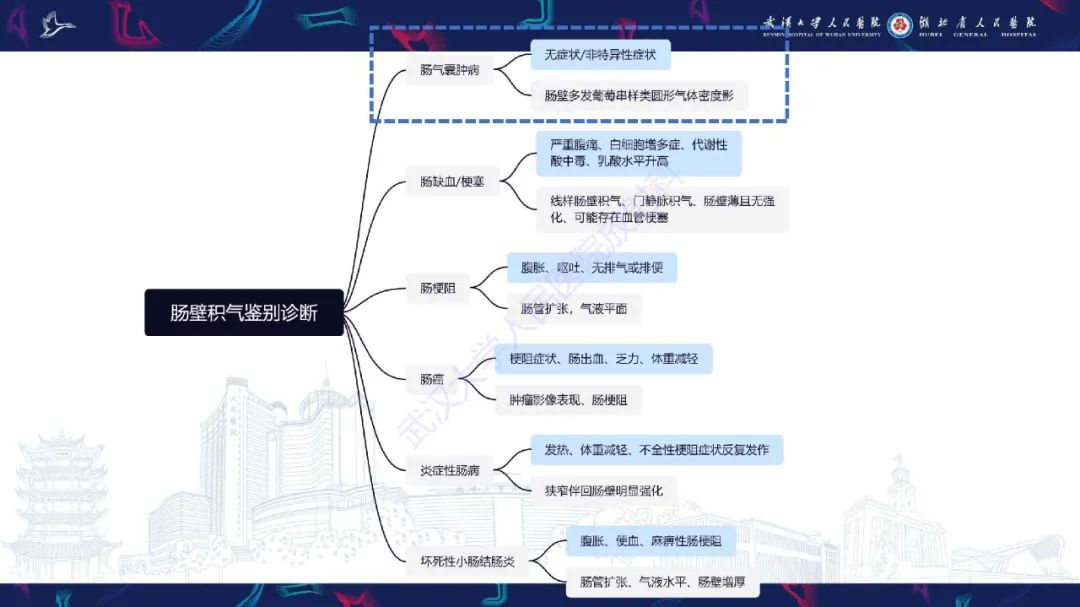 影像PPT - 【PPT】肠壁积气相关疾病影像诊断-27