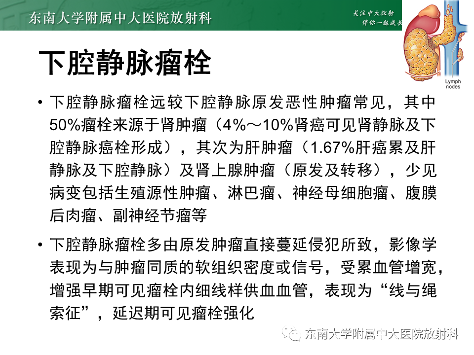 影像PPT - 【PPT】下腔静脉栓塞性病变随访-28 影像PPT - 【PPT】下腔静脉栓塞性病变随访-28