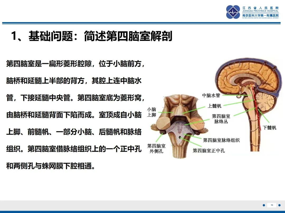 影像PPT - 【PPT】菊形团形成型胶质神经元肿瘤-11