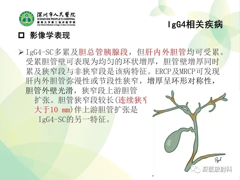 影像PPT - 【PPT】IgG4相关性疾病—腹部脏器受累及影像表现-17