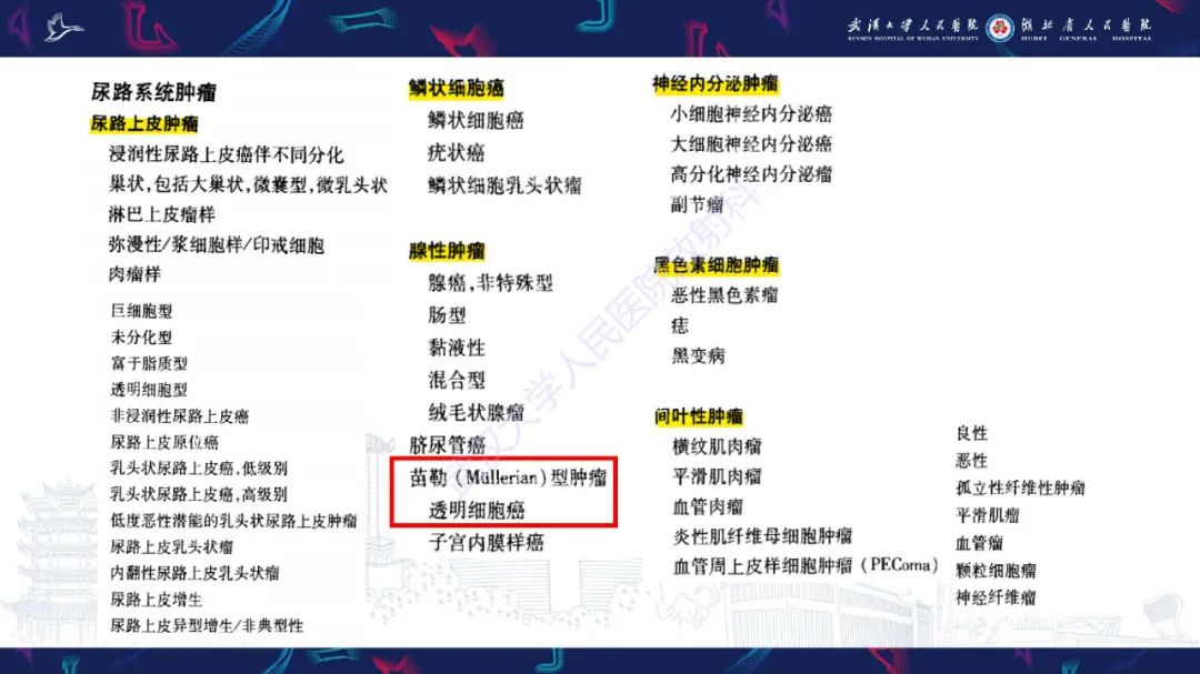 影像PPT - 【PPT】尿道原发透明细胞腺癌影像诊断-9