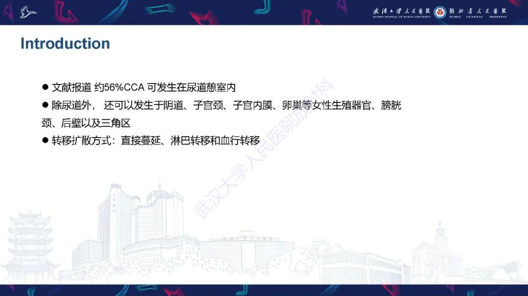 影像PPT - 【PPT】尿道原发透明细胞腺癌影像诊断-11