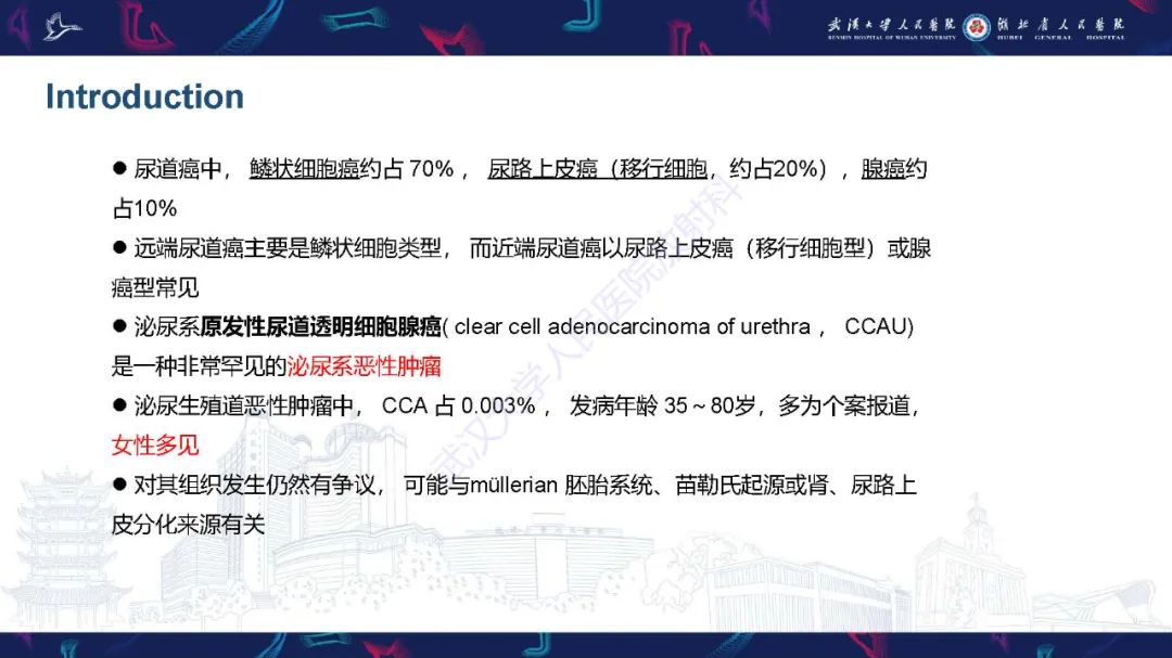 影像PPT - 【PPT】尿道原发透明细胞腺癌影像诊断-10