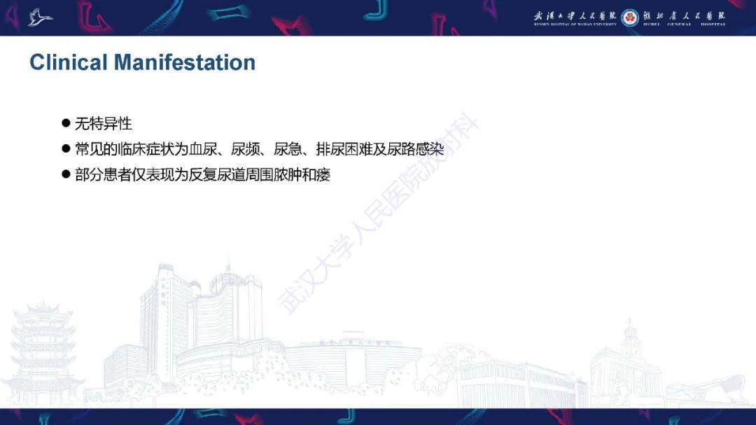 影像PPT - 【PPT】尿道原发透明细胞腺癌影像诊断-12