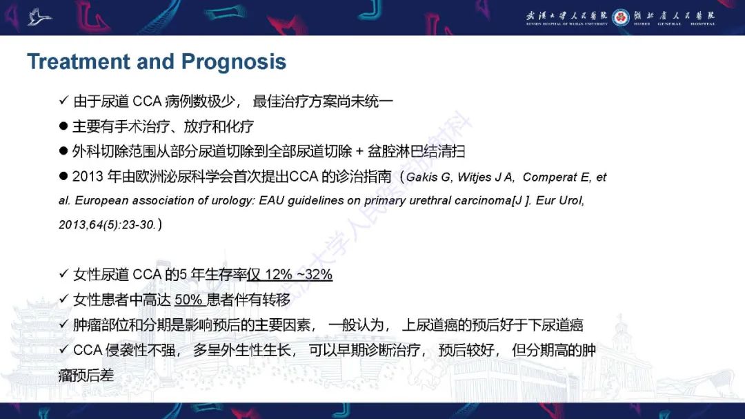 影像PPT - 【PPT】尿道原发透明细胞腺癌影像诊断-13