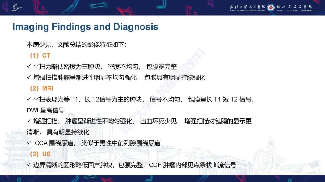 影像PPT - 【PPT】尿道原发透明细胞腺癌影像诊断-14