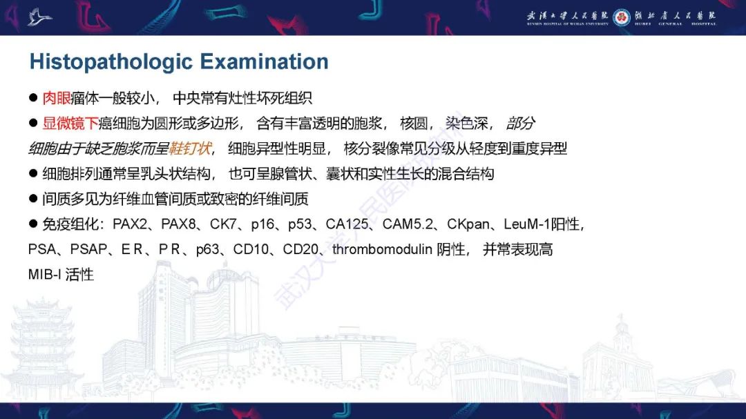 影像PPT - 【PPT】尿道原发透明细胞腺癌影像诊断-19