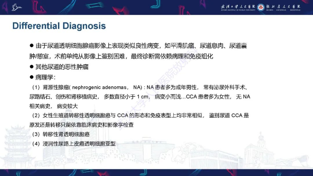 影像PPT - 【PPT】尿道原发透明细胞腺癌影像诊断-21