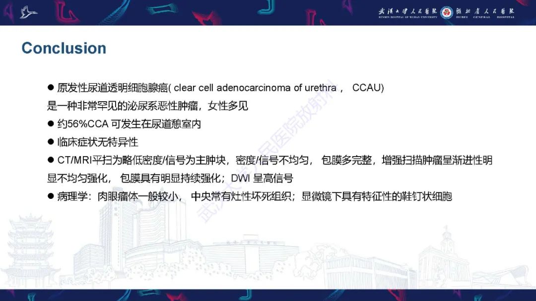 影像PPT - 【PPT】尿道原发透明细胞腺癌影像诊断-25