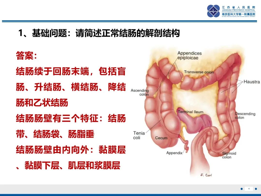 影像PPT - 【PPT】巨细胞病毒性肠炎-7