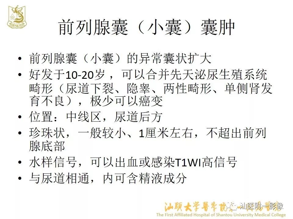 影像PPT - 【PPT】前列腺囊肿的影像诊断-13