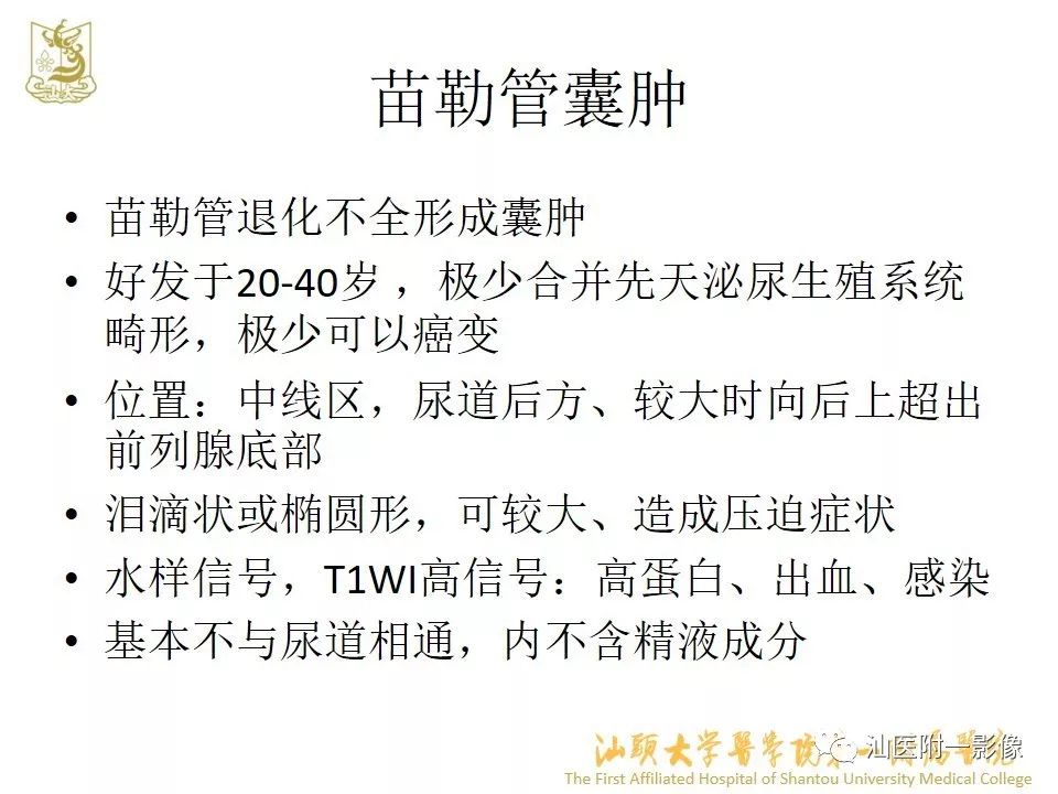 影像PPT - 【PPT】前列腺囊肿的影像诊断-16