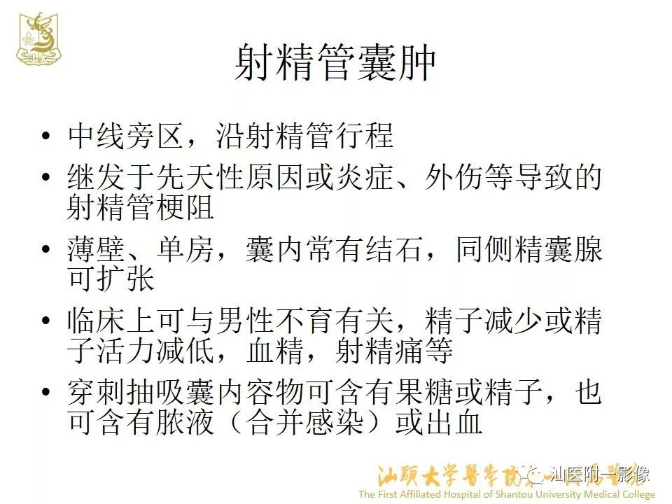影像PPT - 【PPT】前列腺囊肿的影像诊断-22