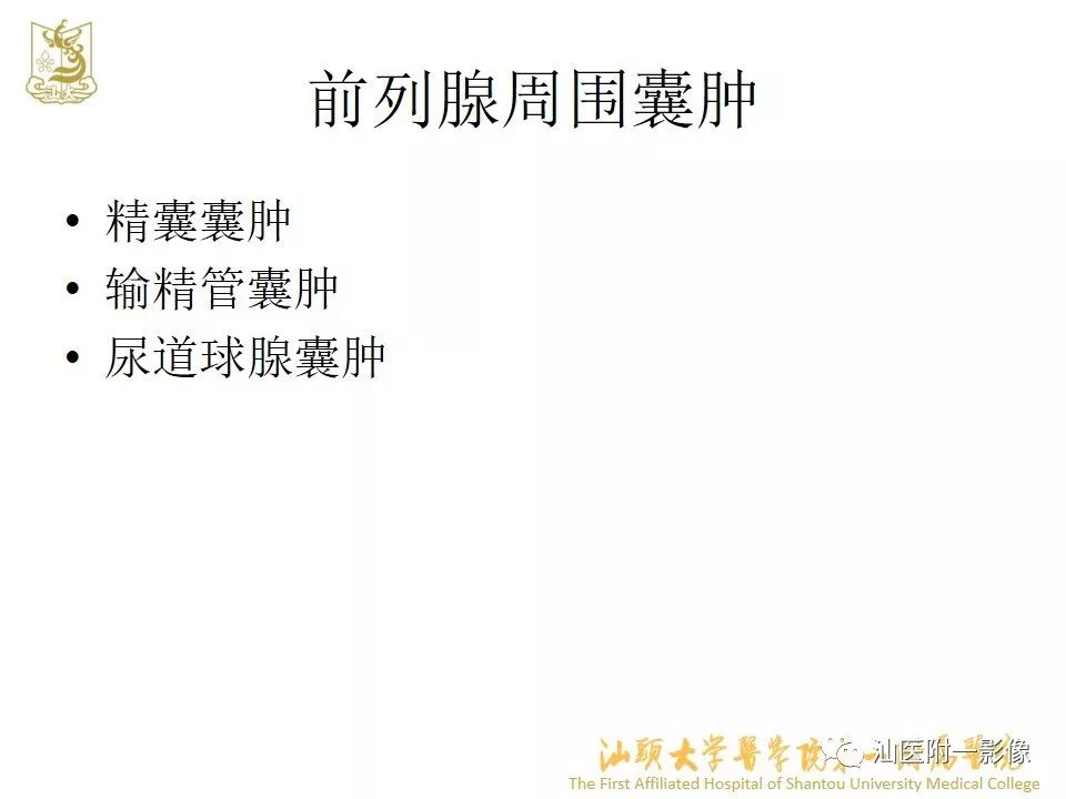 影像PPT - 【PPT】前列腺囊肿的影像诊断-26