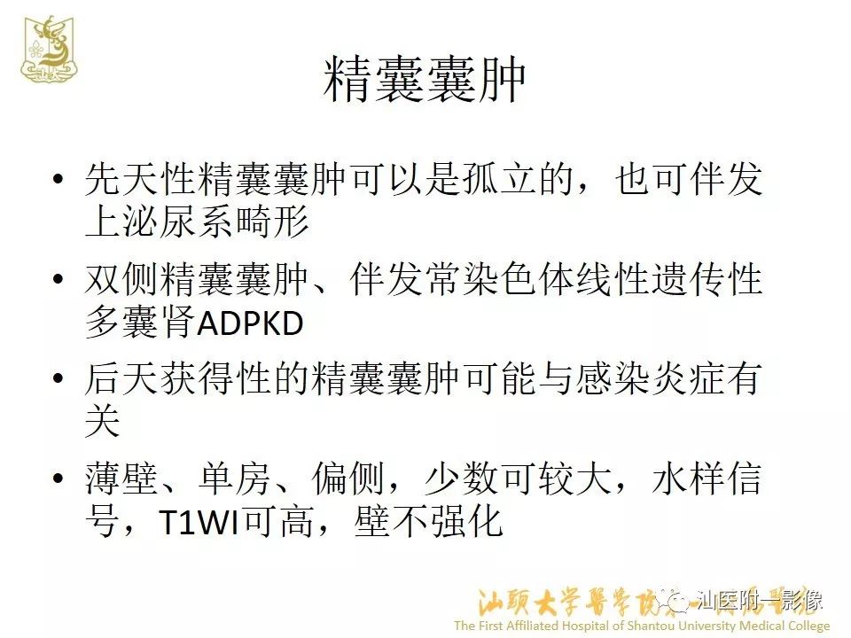 影像PPT - 【PPT】前列腺囊肿的影像诊断-27