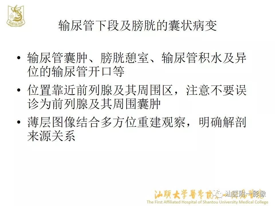 影像PPT - 【PPT】前列腺囊肿的影像诊断-40