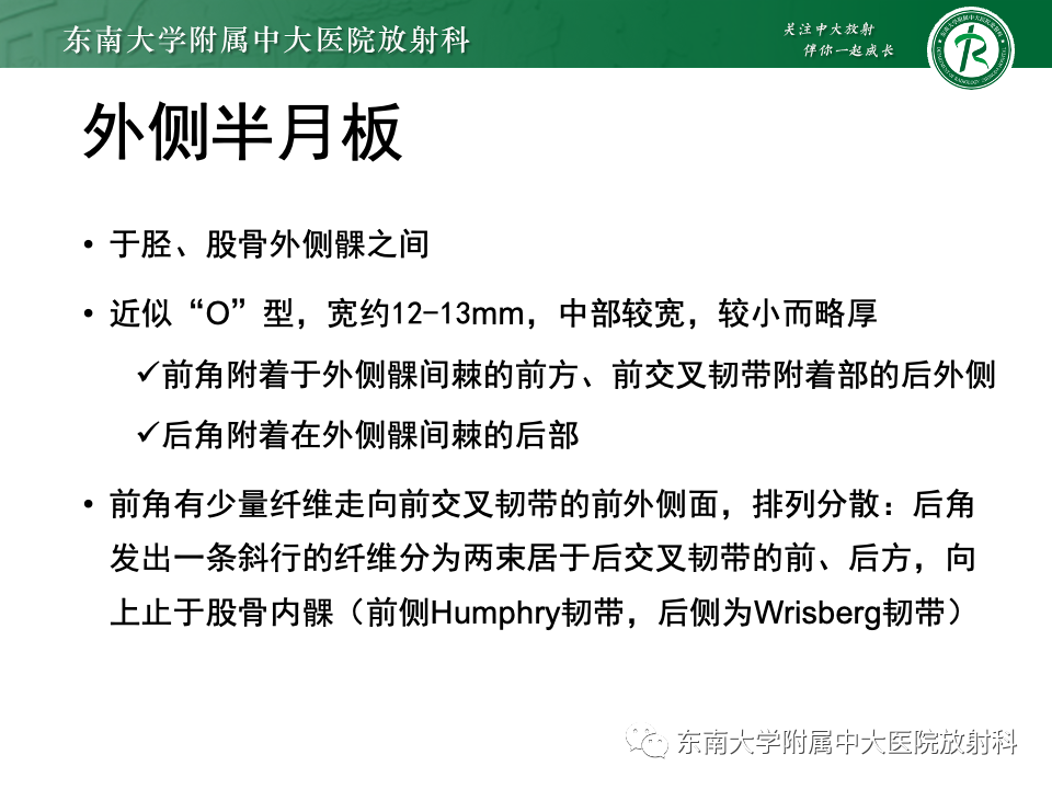 影像PPT - 【PPT】膝关节半月板解剖及常见诊断误区-5