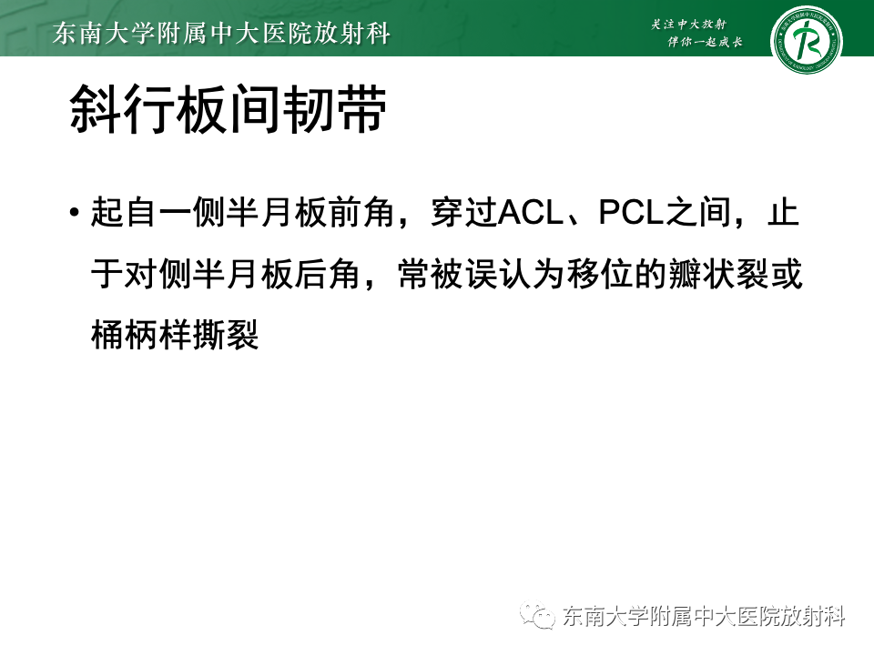 影像PPT - 【PPT】膝关节半月板解剖及常见诊断误区-20